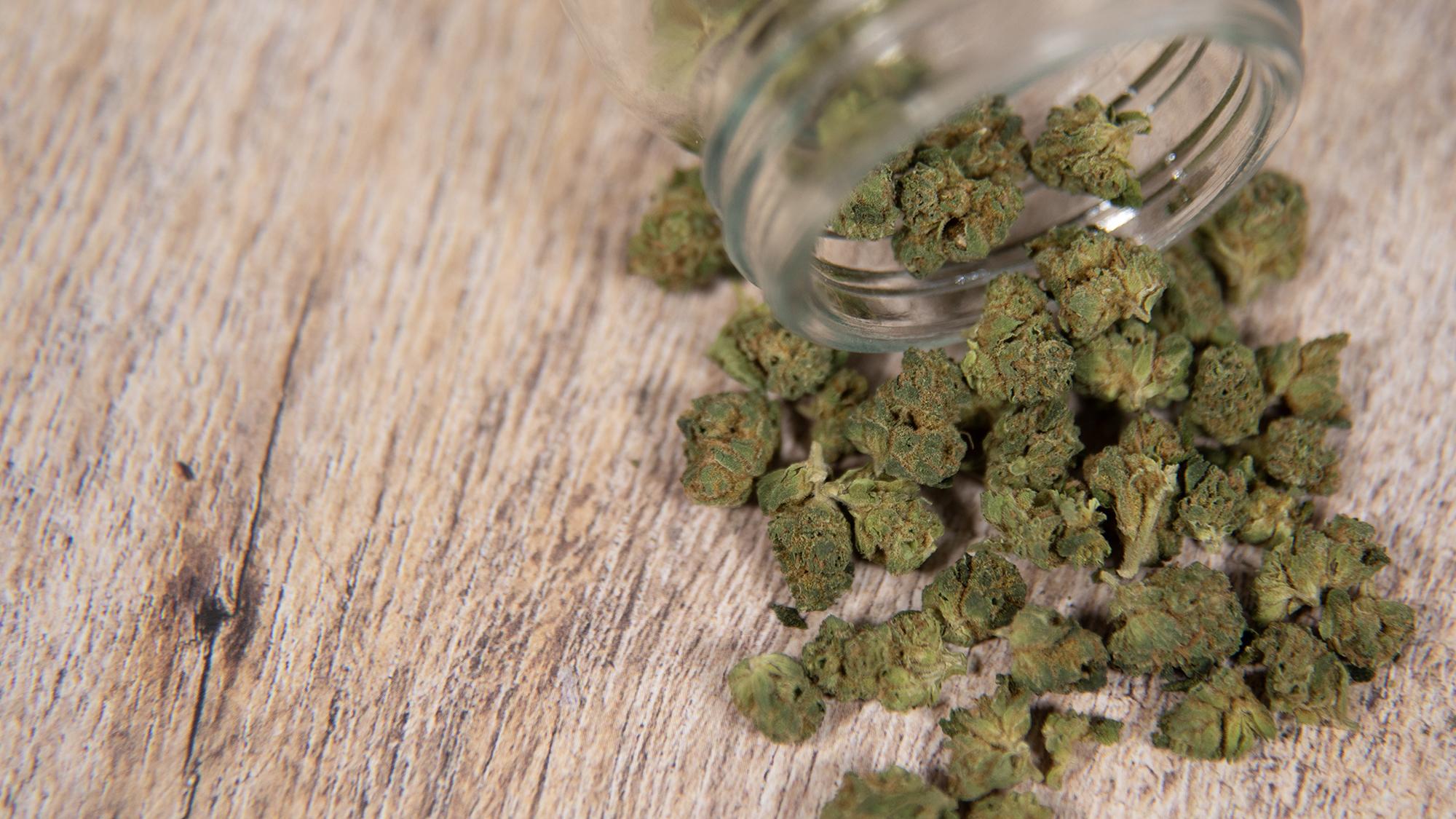 Native American Cannabis Enterprises: Distinctive Features and National Impact